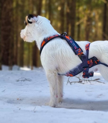 Bilde av VIP Dogwear HUNTING multisport sele 